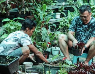 Romo Jo (dua kiri) merawat tanaman di Kebun Gereja Katolik Kelahiran Santa Perawan Maria, Surabaya. (Foto: Robertus Rizky)