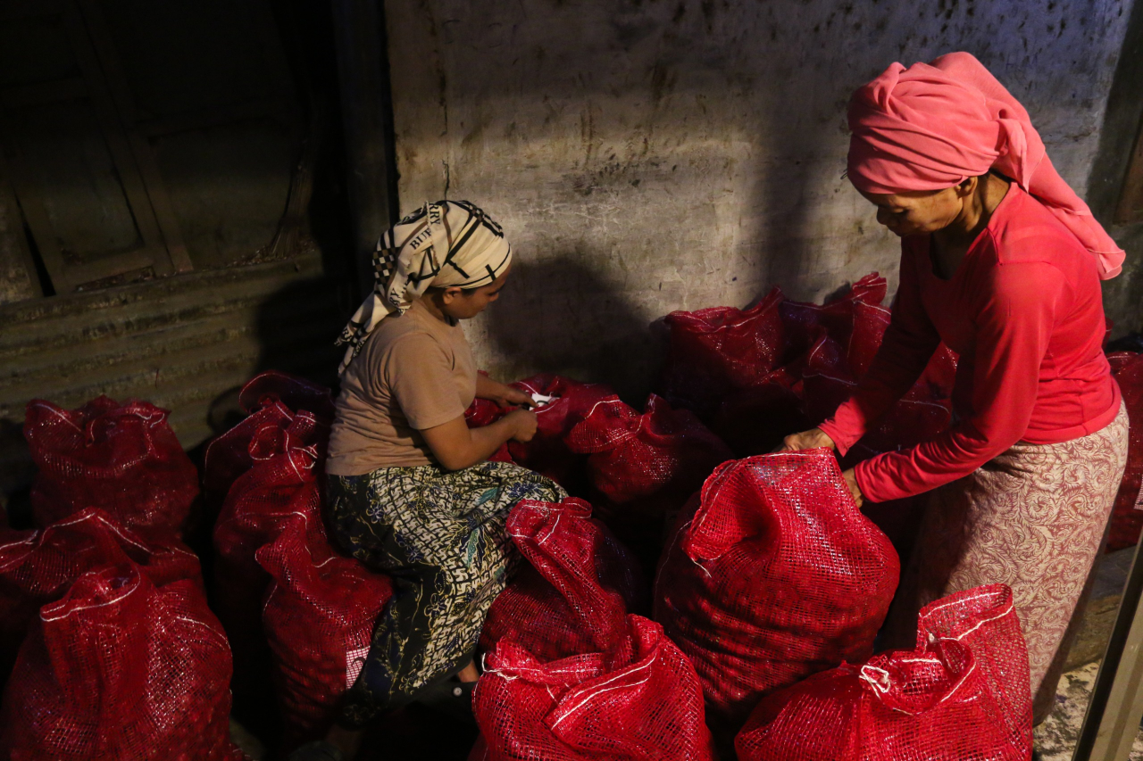 Peluh adalah bahasa yang tak pernah mereka sembunyikan. (Foto: M. Iffan)